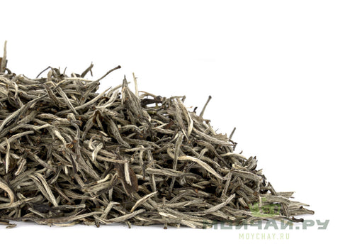 Zhou Li Bai Hao Yin Zhen