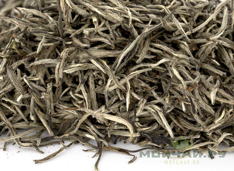 Zhou Li Bai Hao Yin Zhen