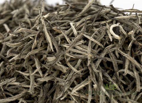 Zhou Li Bai Hao Yin Zhen