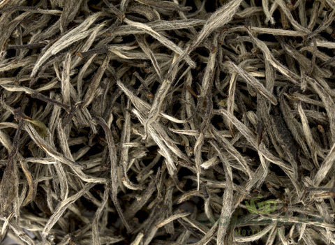 Zhou Li Bai Hao Yin Zhen