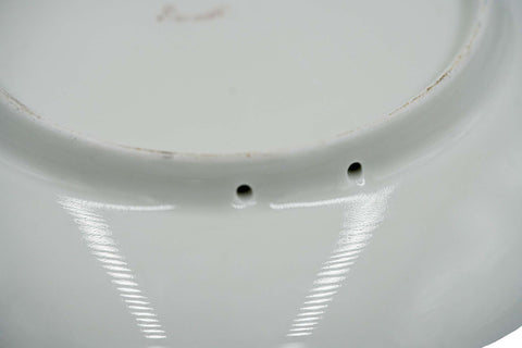 Colorfull Cameleon. Wood-fired hand painted porcelain Plate.