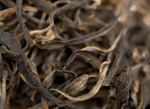 Magic Spring (Shaiqing Menghai Sheng, 2022)