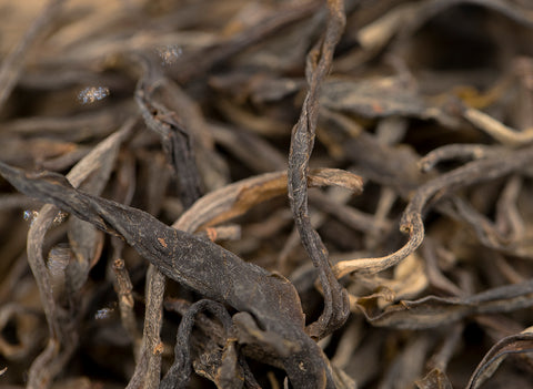 Magic Spring (Shaiqing Menghai Sheng, 2022)