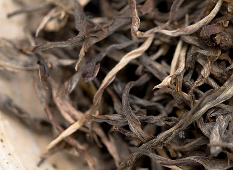 Dao Sheng Cha (2018)