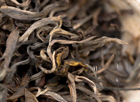 Dao Sheng Cha (2018)