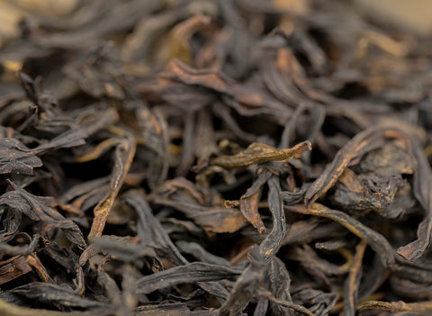 Chun Baxian Dancong (Acht Unsterbliche Dancong)