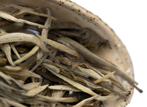 Yunnan Baihao YinZhen (White Pekoe Silver Needles from Yunnan)