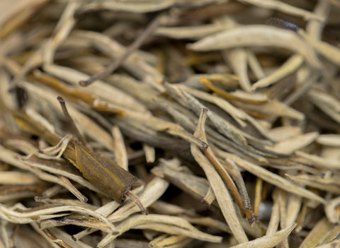 Yunnan Baihao YinZhen (White Pekoe Silver Needles from Yunnan)