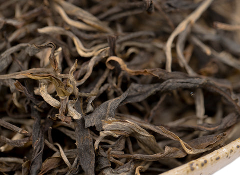 Youji Menghai Sheng Cha (2021)