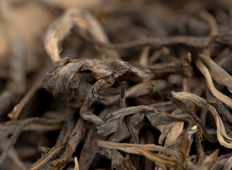 Youji Menghai Sheng Cha (2021)