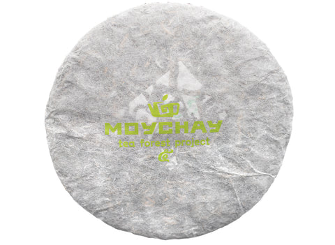 Tea Forest Project Wild Assamica SHENG PUER tea (batch 11.2022, limited edition)