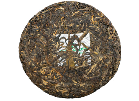 Tea Forest Project Wild Assamica SHENG PUER tea (batch 11.2022, limited edition)