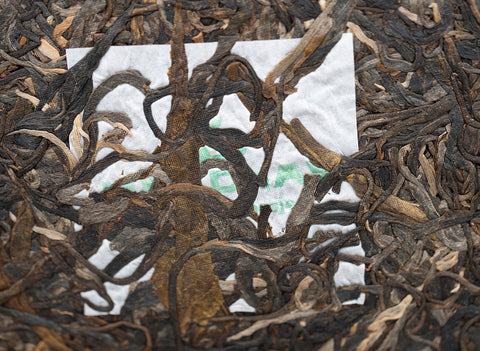 Tea Forest Project Wild Assamica SHENG PUER tea (batch 11.2022, limited edition)