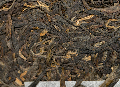 Tea Forest Project Wild Assamica SHENG PUER tea (batch 11.2022, limited edition)