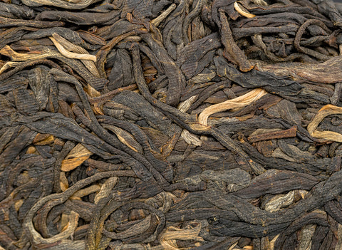 Tea Forest Project Wild Assamica SHENG PUER tea (batch 11.2022, limited edition)