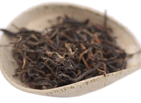 Black Gaba Red Vietnam 26.03.2023