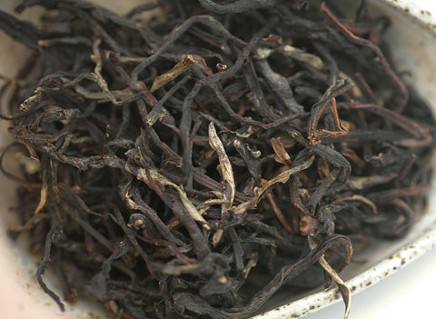 Gaba Noir Rouge Vietnam 26.03.2023