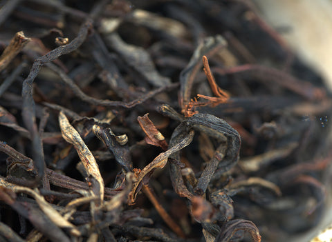 Gaba Noir Rouge Vietnam 26.03.2023