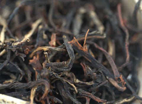 Gaba Noir Rouge Vietnam 26.03.2023