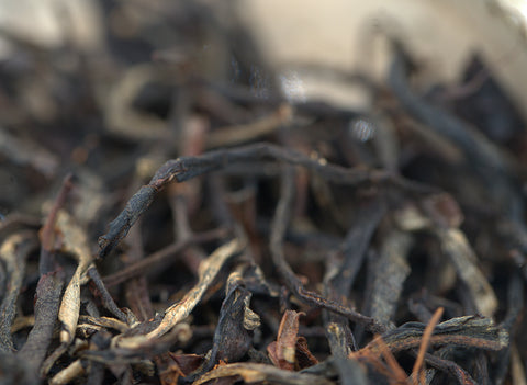 Gaba Noir Rouge Vietnam 26.03.2023