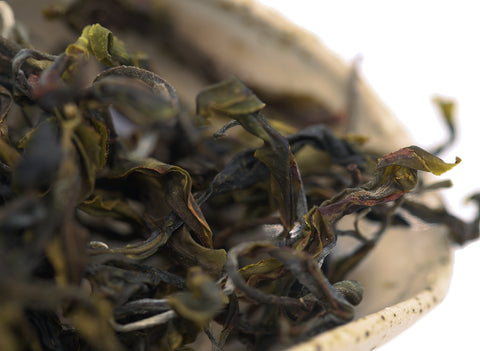 Vietnam Sheng Cha Gushu (voorjaar 2023) 25g