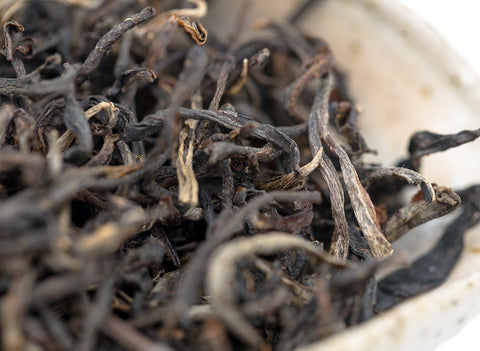 Vietnam Gaba hong cha (25.03.2023)