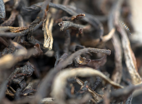 Vietnam Gaba hong cha (25.03.2023)