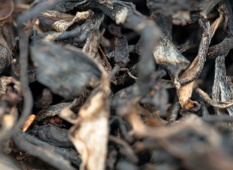 Vietnam Gaba hong cha (25.03.2023)