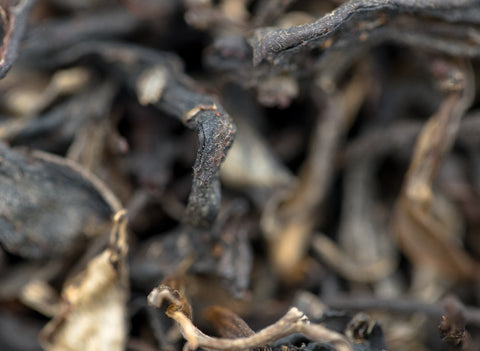 Vietnam Gaba hong cha (25.03.2023)