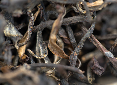 Vietnam Gaba hong cha (25.03.2023)