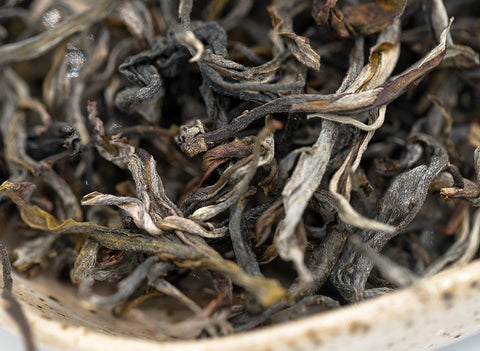 Sheng Vietnam, ancient trees (24.03.2023)