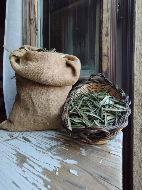 Olive leaf herbal tea