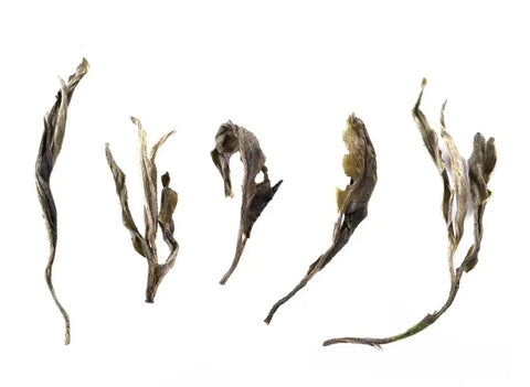 Yongde Gushu Sheng Cha (2021)