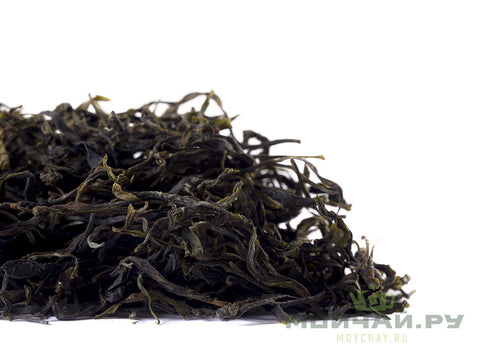 Yongde Teng Ji Sheng Thé (2019)