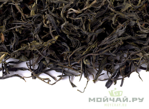 Yongde Teng Ji Sheng Thé (2019)