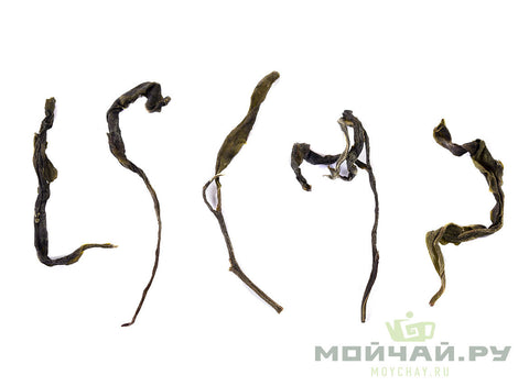 Yongde Teng Ji Sheng Cha (2019)