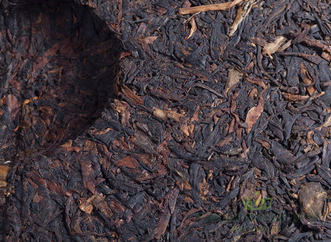 Dashueshan Ye Sheng Zi Ya (2003)