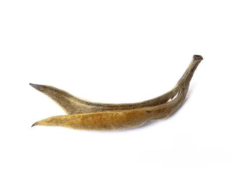 Black Tea Da Jin Ya Big Golden Bud, Chinese tea from Fengqing County in Yunnan Province (Red Tea), 50g