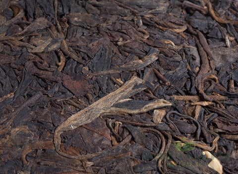 Yiwu Ye Sheng Qiao Mu Sheng Cha, 2005, 年 易武保護, 330 g