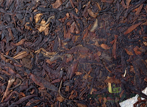 Dashueshan Ye Sheng Zi Ya (2003)