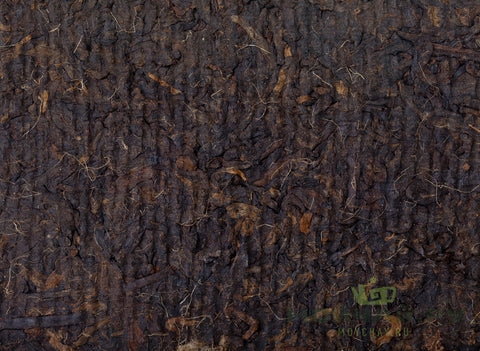 Zaochen Xiang Banshu Zhuan (1995), shu puer oud