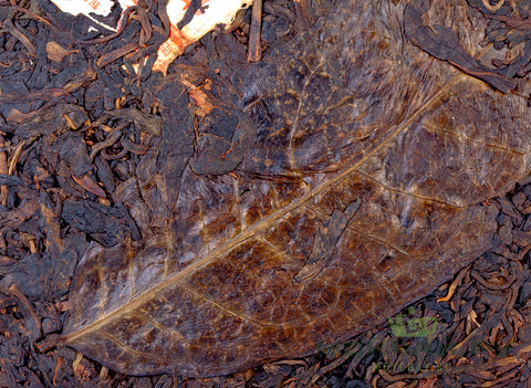 Mengku Yuanshi Sheng Cha (2005), oud Sheng Puer