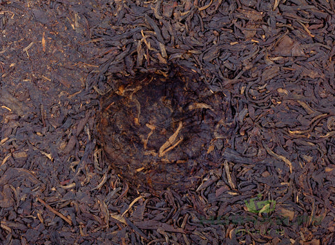 Menghai Gushu Sheng Cha (2004), puer sheng vieilli