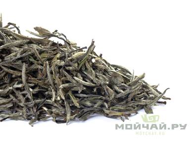 Bai Mu Dan (Pivoine blanche) SHQ