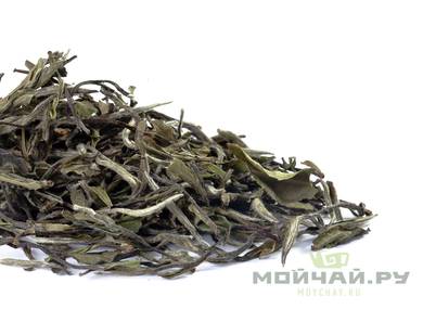 Zhenghe Bai Mu Dan