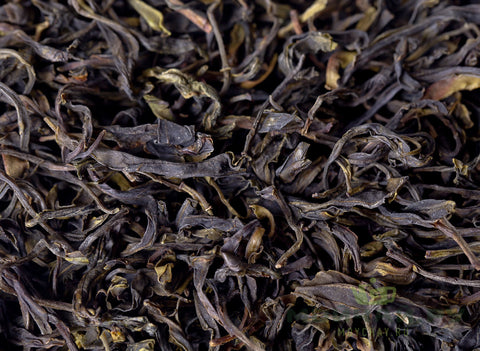 Teng Ji Yongde Gushu Ye Sheng Cha, 2018