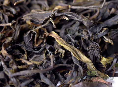 Teng Ji Yongde Gushu Ye Sheng Cha, 2018