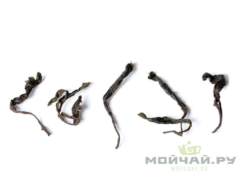 Teng Ji Yongde Gushu Ye Sheng Cha, 2018