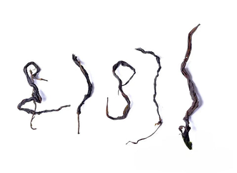 Large Leaf Willow Herb 50g