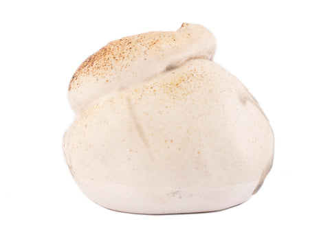 Teekanne Nr. 31295, Holzbrand/Porzellan